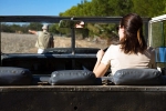 Wildest Safari Destinations articles, Wildest Safari Destinations list, world s wildest safari destinations, Elephants