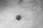 Martian spider, NASA, yards long spider on mars nasa, Red planet
