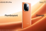iQOO Z9s Pro 5G specifications, iQOO Z9s Pro 5G pictures, iqoo z9s pro 5g launched in india, Lamb
