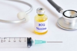 coronavirus, BCG vaccine, bcg vaccination a possible game changer us scientists, Bcg vaccine