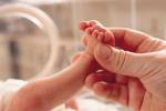 premature birth., premature babies risks, premature birth may up osteoporosis risk in adulthood, Premature babies premature birth., premature babies risks, premature birth may up osteoporosis risk in adulthood, Premature babies