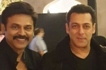 Salman Khan, Aashritha daggubati, watch salman khan shake legs with venkatesh at his daughter aashritha daggubati s wedding, Bollywood star salman khan