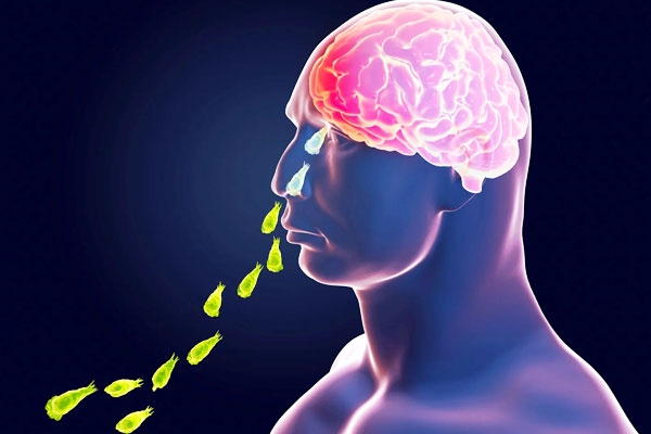 Brain-Eating Amoeba in Kerala: Why and How it Spreads?