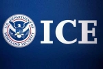 ICE arrests, ICE arrests 130, us 129 indians among 130 students arrested in pay to stay immigration fraud, 6 8 indians arrested