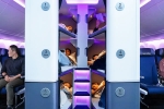 Air New Zealand Bunk Beds 2027, Air New Zealand, air new zealand introduces bunk beds in economy flights, Economy Air New Zealand Bunk Beds 2027, Air New Zealand, air new zealand introduces bunk beds in economy flights, Economy