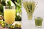 Amla Juice Vs Wheatgrass Juice, Amla Juice, amla juice vs wheatgrass juice for fatty liver, Immune system