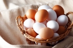 Brown Eggs Vs White Eggs healthy, Brown Eggs Vs White Eggs comparision, brown eggs vs white eggs which is healthy, Eggs