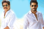 Bangarraju trailer talk, Bangarraju ten days, ten days worldwide collections of bangarraju, Chinni