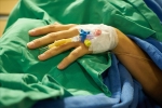 nipah virus life cycle, nipah virus origin, here s how you can prevent deadly infection nipah virus from affecting you, Nipah virus nipah virus life cycle, nipah virus origin, here s how you can prevent deadly infection nipah virus from affecting you, Nipah virus