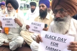 opposition parties, agents, why farmers and politicians are against modi s farm laws, State governments opposition parties, agents, why farmers and politicians are against modi s farm laws, State governments