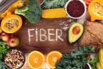 Fibre for Gut study, Fibre for Gut study, fibre is the most underrated nutrient for your gut, Fibre for gut