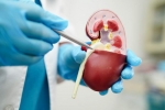Creatinine Levels maintenance, Lower Creatinine Levels for health, tips to lower your creatinine levels, Creatine