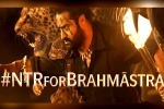 Brahmastra release news, Brahmastra release date, ntr turns chief guest for brahmastra event, Fox star