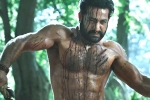Ramaraju for Bheem teaser update, Ramaraju for Bheem review, ramaraju for bheem ntr s deadly transformation as komaram bheem, Best actors