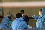 symptoms of Nipha virus, Nipha virus in hyderabad, nipah virus alerts hyderabad with symptoms from two suspected victims, Nipah virus symptoms of Nipha virus, Nipha virus in hyderabad, nipah virus alerts hyderabad with symptoms from two suspected victims, Nipah virus