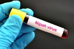 Nipah Virus in Kerala, Nipah Virus first case, nipah virus is back again two deaths registered, Us department of state Nipah Virus in Kerala, Nipah Virus first case, nipah virus is back again two deaths registered, Us department of state
