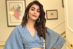 Trivikram, Pooja Hegde news, pooja hegde in pink remake, Taapsee