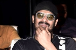 Prabhas and Maruthi Film pooja, Prabhas and Maruthi Film new updates, prabhas next film launched, A maruthi film