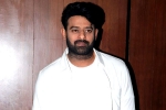 People Media Factory, Niddhi Agerwal, two beauties locked to romance prabhas, A maruthi film