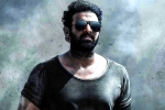 Prabhas about Salaar, Prabhas breaking news, prabhas salaar to have malayalam star, Shruthi haasan