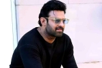T Series, Prabhas25 breaking news, prabhas to offer a new treat for his fans, Prabhas25