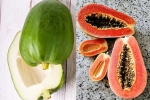 Raw Papaya Vs Ripe Papaya news, Raw Papaya Vs Ripe Papaya news, raw papaya vs ripe papaya which is better for blood sugar, Medical Raw Papaya Vs Ripe Papaya news, Raw Papaya Vs Ripe Papaya news, raw papaya vs ripe papaya which is better for blood sugar, Medical