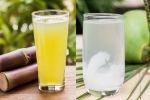 Sugarcane Juice Vs Coconut Water good, Sugarcane Juice Vs Coconut Water experts, sugarcane juice vs coconut water which is hydrating, Sugarcane juice