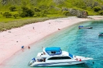 Pink Beach in Indonesia list, Pink Beach in Indonesia latest breaking, which pink beach should you visit in indonesia, Photos Pink Beach in Indonesia list, Pink Beach in Indonesia latest breaking, which pink beach should you visit in indonesia, Photos